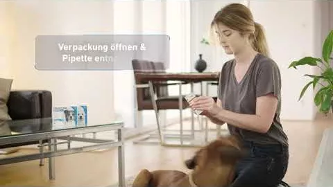 Video about FRONTLINE Spot on K solution for cats, 3 pcs