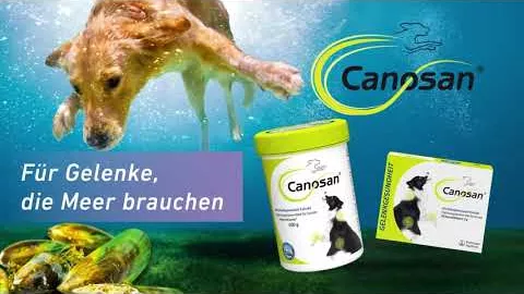Video about CANOSAN Chewable tablets vet., 30 pcs