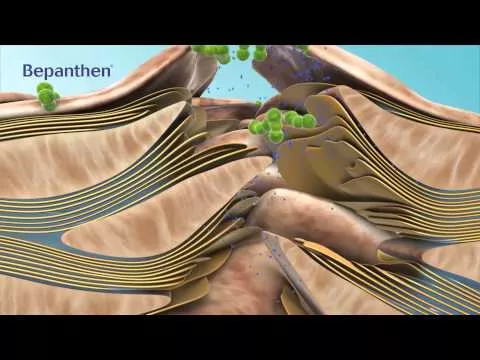Video about Bepanthen Sensiderm cream, 20 g