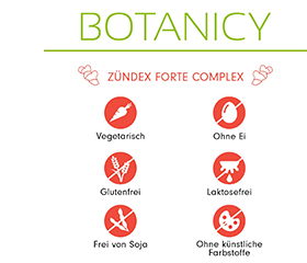 ZÜNDEX forte Complex with OptiMSM Capsules, 60 Capsules