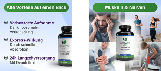 GLYCOWOHL vital liposomal magnesium high-dose capsules, 120 pcs