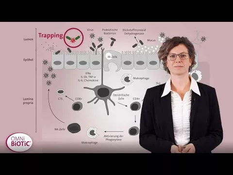 Video about Omni Biotic Pro-Vi 5 sachets, 30X2 g