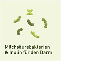 NUPURE probaflor Probiotics for Intestinal Restoration Kps, 90 pcs