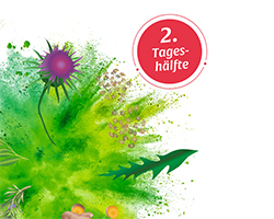 BASEN AKTIV Tea No.2 Dandelion Organic Salus, 40 pcs