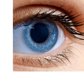 HYLO-PARIN Eye drops, 10 ml