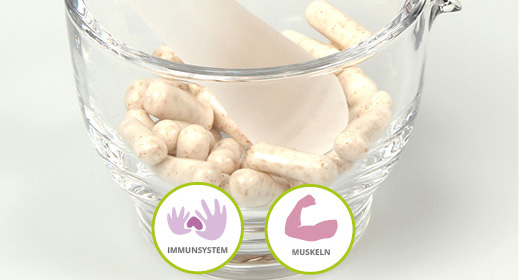 L-CARNITIN 500 capsules, 100 pcs