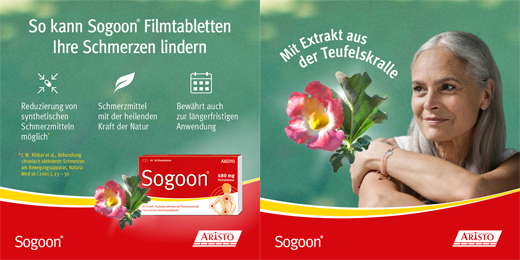 SOGOON 480 mg film-coated tablets, 20 pcs