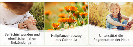 CALENDULA WOUND OINTMENT, 25 g