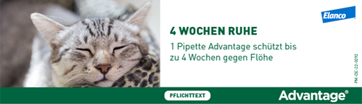ADVANTAGE 80 mg for large cats and rabbits, 4X0.8 ml