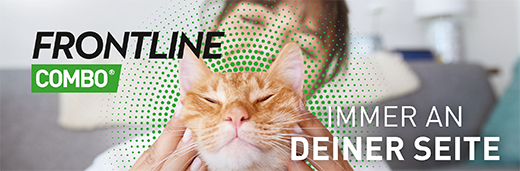 FRONTLINE Combo Spot on cat skin preparation, 3 pcs