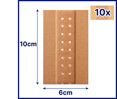 HANSAPLAST Classic plaster 6 cmx1 m, 1 pc