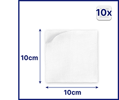 HANSAPLAST Compresses sterile 10x10 cm, 5X2 pcs
