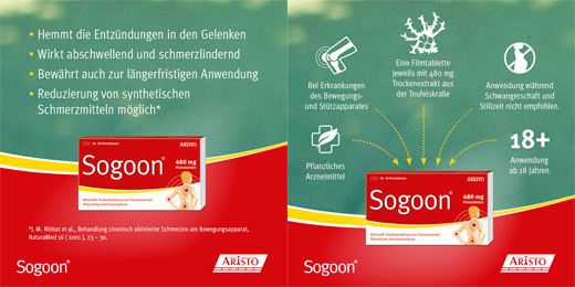 SOGOON 480 mg film-coated tablets, 20 pcs