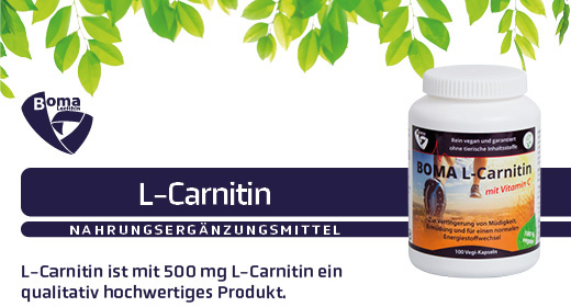 L-CARNITIN 500 capsules, 100 pcs