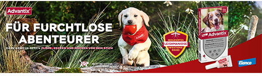ADVANTIX Spot-on solution for application to dog 40-60 kg, 4X6.0 ml