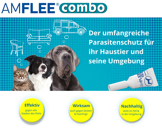 AMFLEE combo 50/60mg Oral solution for cats, 3 pcs