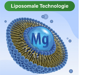 GLYCOWOHL vital liposomal magnesium high-dose capsules, 120 pcs