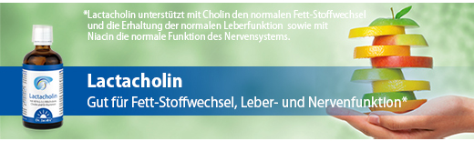LACTACHOLIN Dr.Jacob's drops, 100 ml