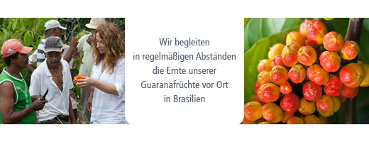 GUARANA POWDER, 100 g
