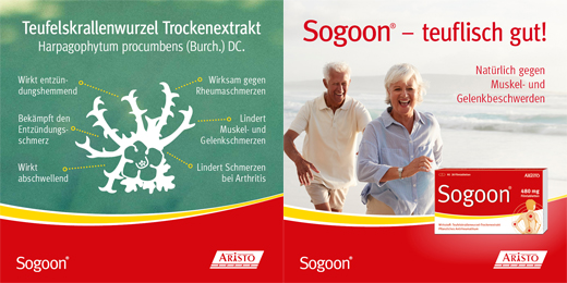 SOGOON 480 mg film-coated tablets, 20 pcs