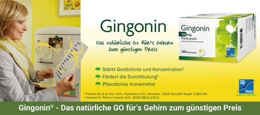 GINGONIN 120 mg hard capsules, 60 pcs
