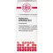 CARBONEUM SULFURATUM D 12 globules, 10 g