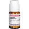 CHIMAPHILA UMBELLATA D 12 tablets, 80 count