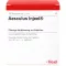 AESCULUS INJEEL Ampoules, 10 pcs