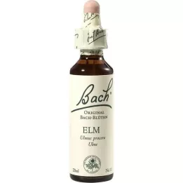 BACHBLÜTEN Elm drops, 20 ml