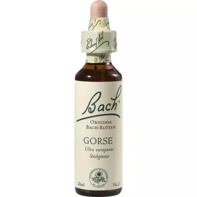 BACHBLÜTEN Gorse drops, 20 ml