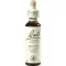 BACHBLÜTEN Holly drops, 20 ml