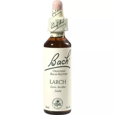 BACHBLÜTEN Larch drops, 20 ml BACHBLÜTEN Larch drops, 20 ml
