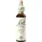 BACHBLÜTEN Larch drops, 20 ml