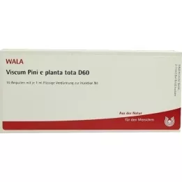 VISCUM PINI e planta tota D 60 ampoules, 10X1 ml