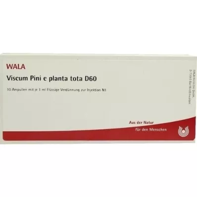 VISCUM PINI e planta tota D 60 ampoules, 10X1 ml