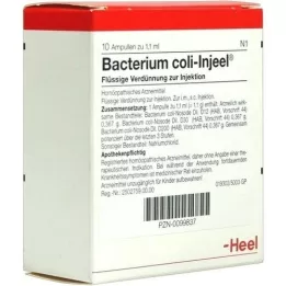 BACTERIUM COLI Injeel ampoules, 10 pcs