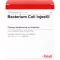 BACTERIUM COLI Injeel ampoules, 10 pcs
