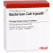 BACTERIUM COLI Injeel ampoules, 10 pcs