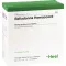 BELLADONNA HOMACCORD Ampoules, 100 pcs