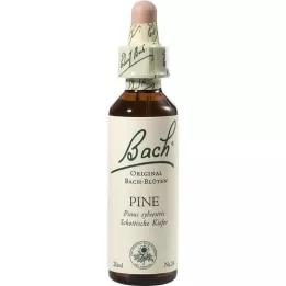 BACHBLÜTEN Pine drops, 20 ml