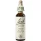 BACHBLÜTEN Pine drops, 20 ml