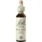 BACHBLÜTEN Rock Water drops, 20 ml