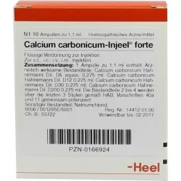 CALCIUM CARBONICUM INJEEL forte ampoules, 10 pcs