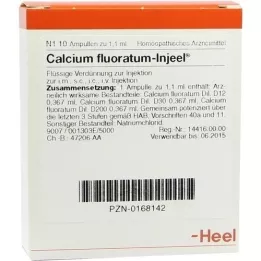 CALCIUM FLUORATUM INJEEL Ampoules, 10 pcs