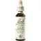 BACHBLÜTEN White Chestnut drops, 20 ml