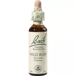 BACHBLÜTEN Wild Rose drops, 20 ml