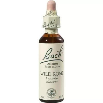BACHBLÜTEN Wild Rose drops, 20 ml BACHBLÜTEN Wild Rose drops, 20 ml