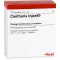 CANTHARIS INJEEL Ampoules, 10 pcs