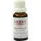 CERES Absinthium mother tincture, 20 ml