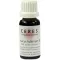 CERES Dipsacus fullonum mother tincture, 20 ml